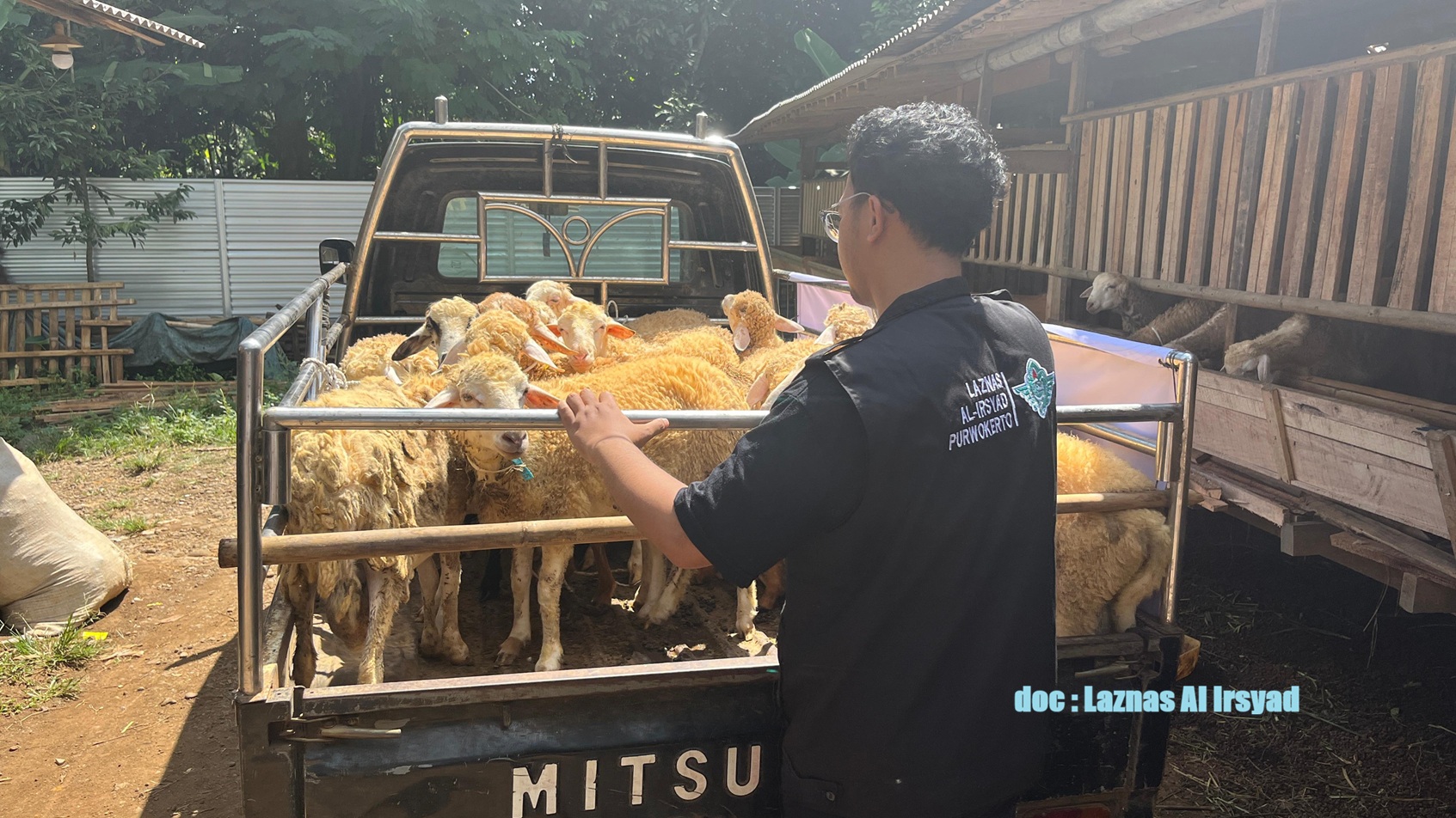 Tebar Hewan Kurban Al Irsyad Jangkau Pelosok Banyumas
